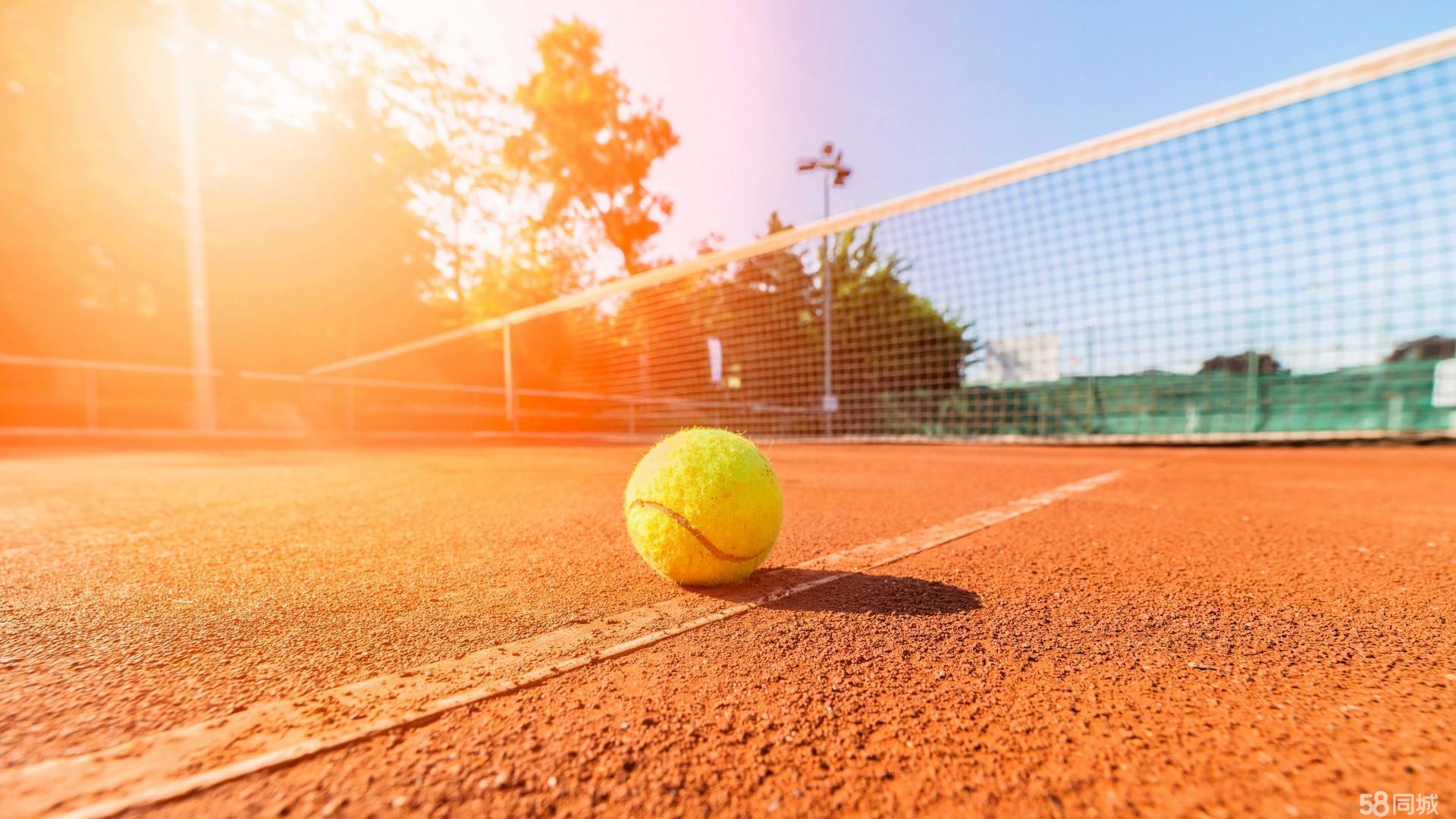 迅速赢得球 迅速赢得球