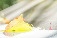 的一次完美 的一次完美