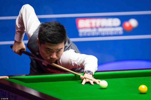 了这位黑马 了这位黑马